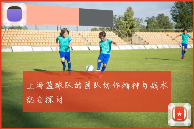上海篮球队的团队协作精神与战术配合探讨