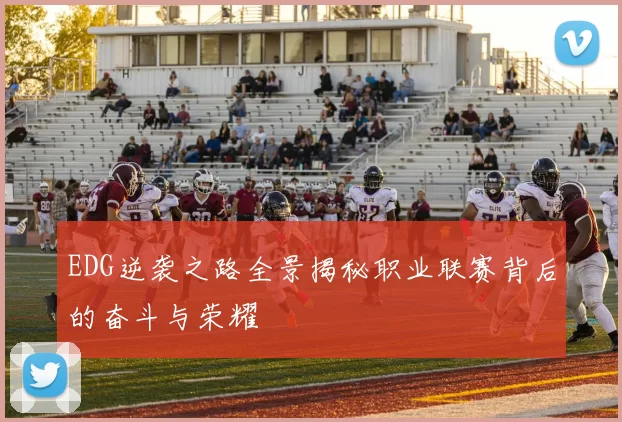 EDG逆袭之路全景揭秘职业联赛背后的奋斗与荣耀