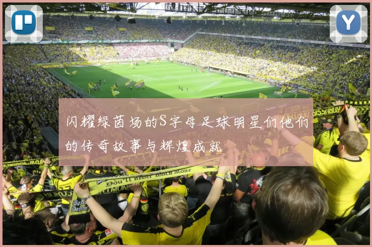 闪耀绿茵场的S字母足球明星们他们的传奇故事与辉煌成就
