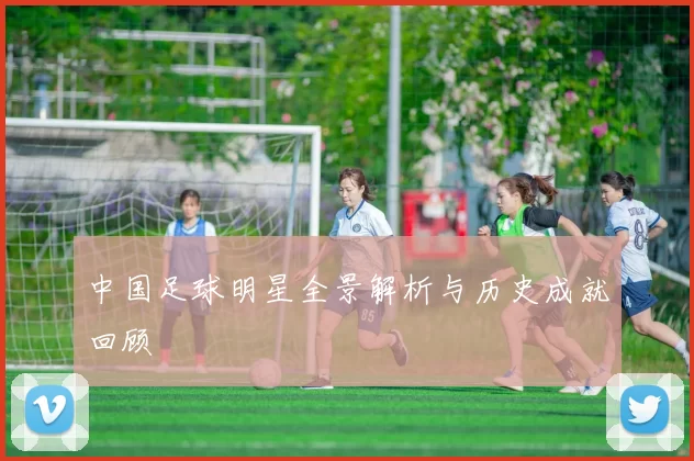 中国足球明星全景解析与历史成就回顾