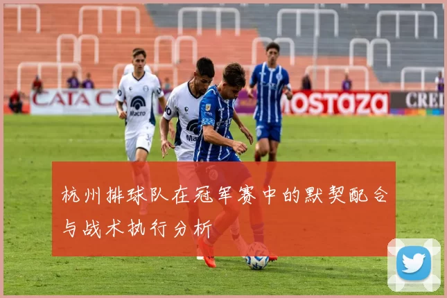 杭州排球队在冠军赛中的默契配合与战术执行分析