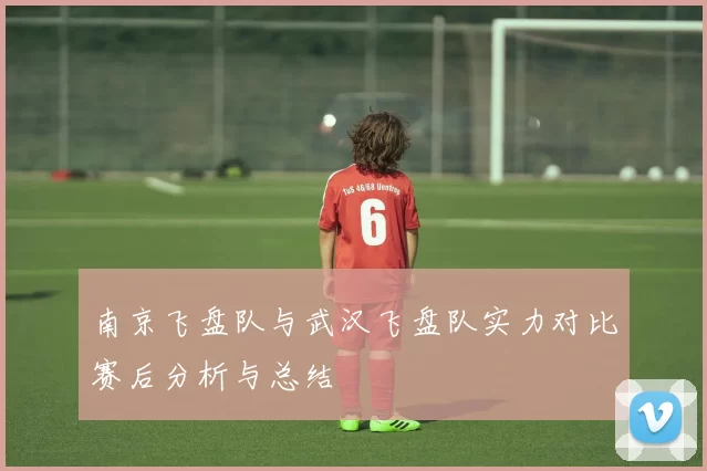 南京飞盘队与武汉飞盘队实力对比赛后分析与总结