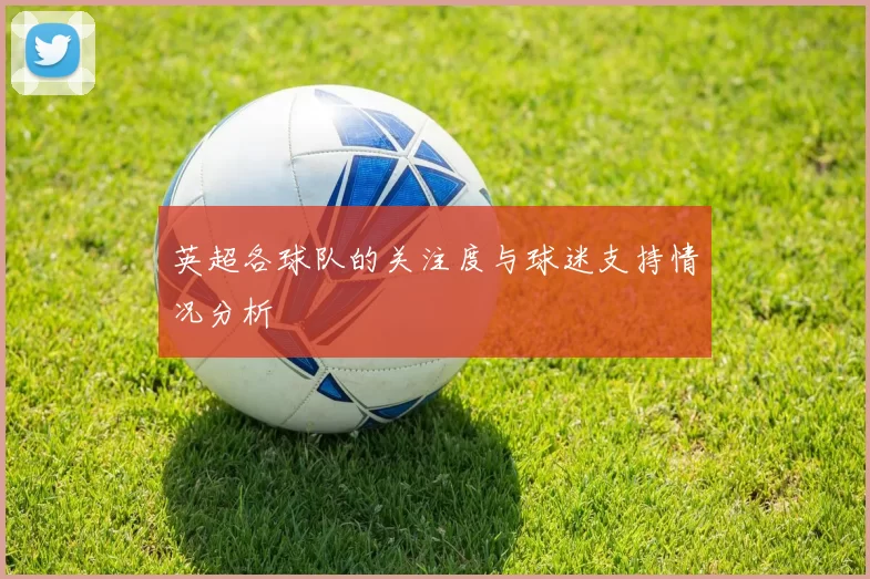 英超各球队的关注度与球迷支持情况分析