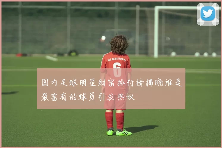 国内足球明星财富排行榜揭晓谁是最富有的球员引发热议