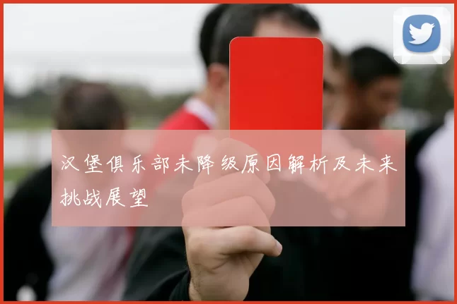 汉堡俱乐部未降级原因解析及未来挑战展望