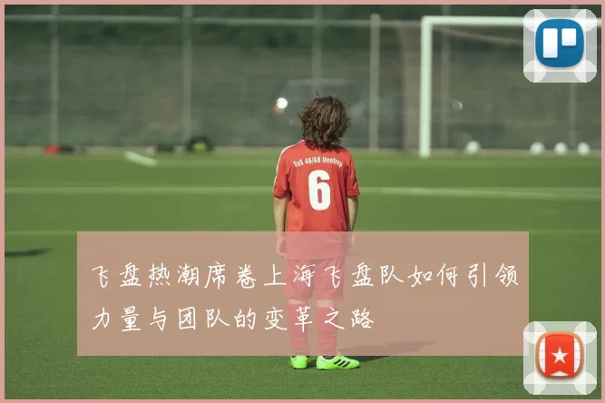 飞盘热潮席卷上海飞盘队如何引领力量与团队的变革之路