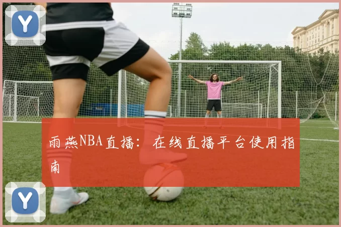 雨燕NBA直播：在线直播平台使用指南