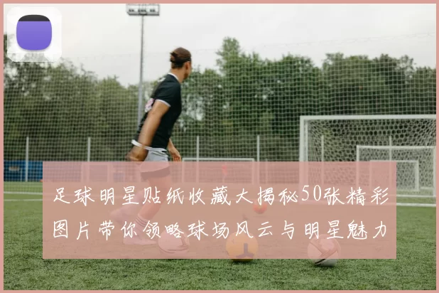 足球明星贴纸收藏大揭秘50张精彩图片带你领略球场风云与明星魅力