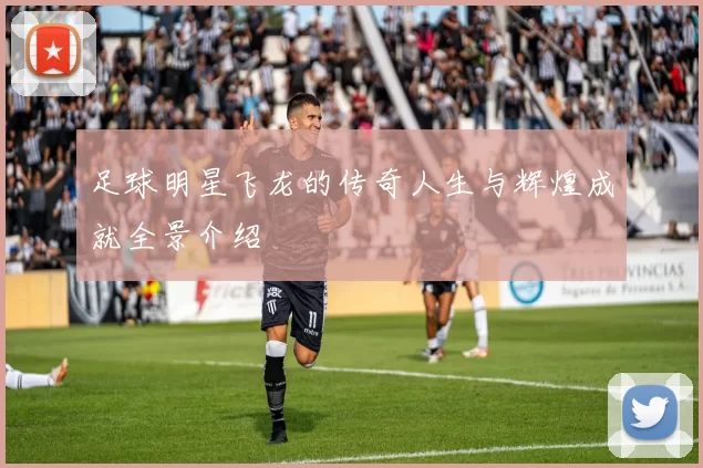 足球明星飞龙的传奇人生与辉煌成就全景介绍