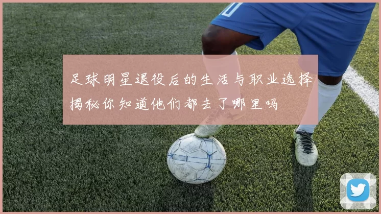 足球明星退役后的生活与职业选择揭秘你知道他们都去了哪里吗