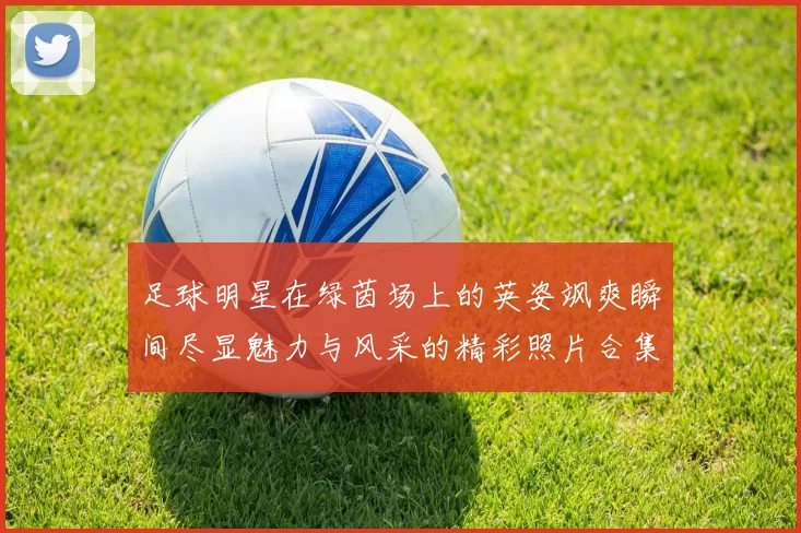 足球明星在绿茵场上的英姿飒爽瞬间尽显魅力与风采的精彩照片合集