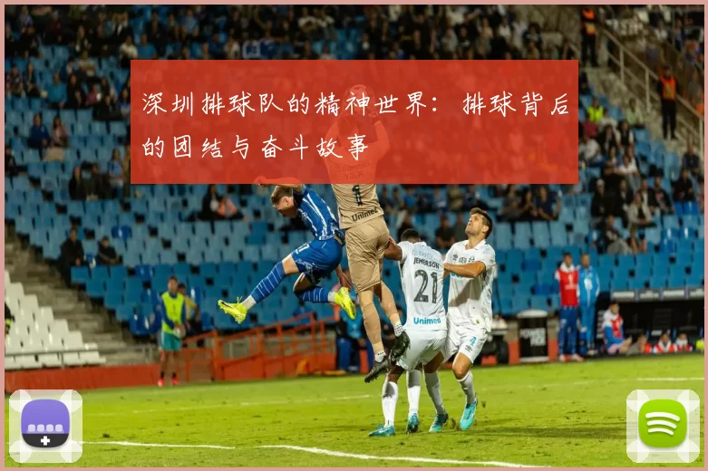 深圳排球队的精神世界：排球背后的团结与奋斗故事