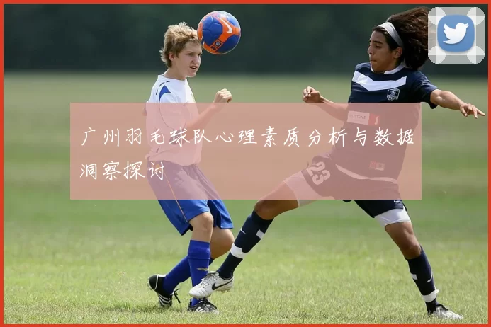 广州羽毛球队心理素质分析与数据洞察探讨