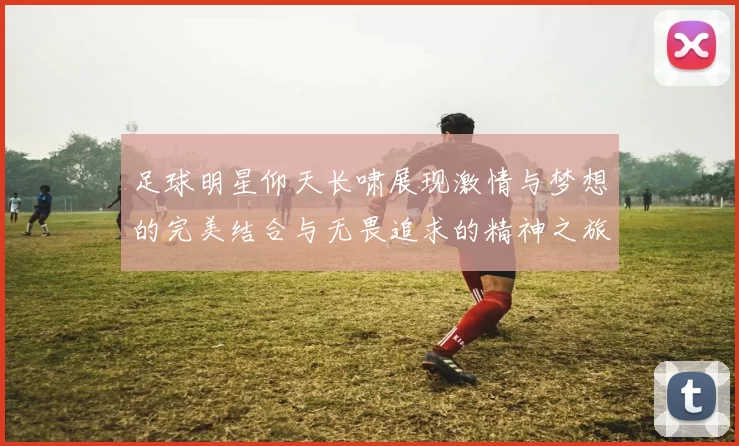 足球明星仰天长啸展现激情与梦想的完美结合与无畏追求的精神之旅