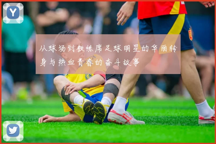从球场到教练席足球明星的华丽转身与热血青春的奋斗故事