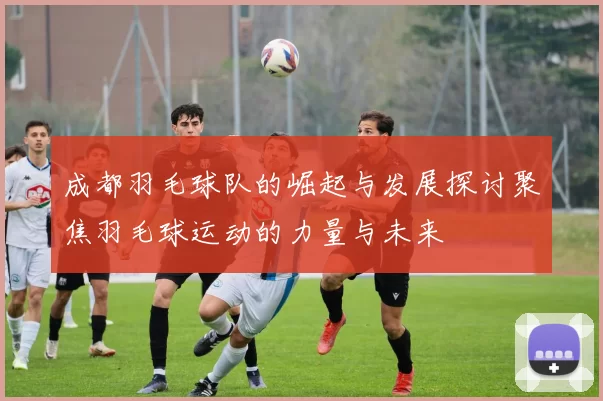 成都羽毛球队的崛起与发展探讨聚焦羽毛球运动的力量与未来