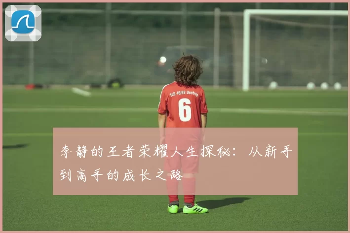 李静的王者荣耀人生探秘：从新手到高手的成长之路