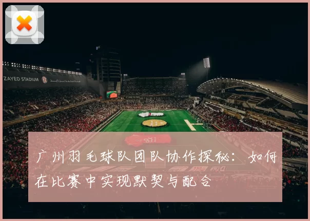 广州羽毛球队团队协作探秘：如何在比赛中实现默契与配合