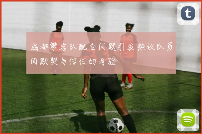 成都攀岩队配合问题引发热议队员间默契与信任的考验