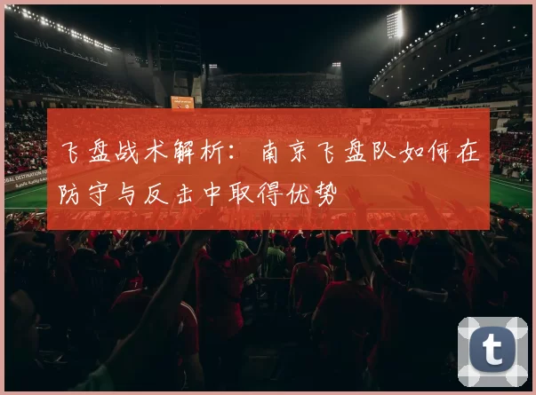 飞盘战术解析：南京飞盘队如何在防守与反击中取得优势