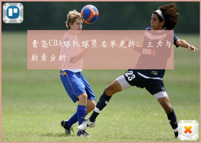青岛CBA球队球员名单更新：主力与新秀分析