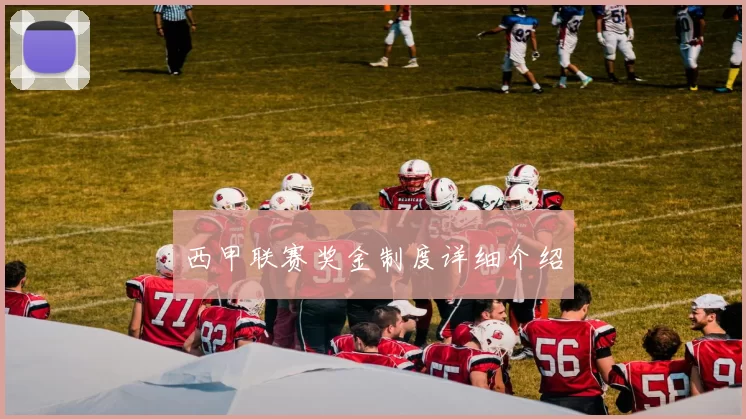 西甲联赛奖金制度详细介绍