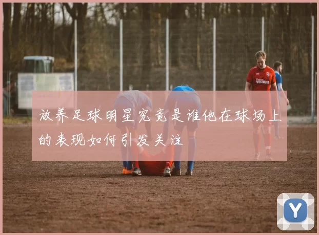 放养足球明星究竟是谁他在球场上的表现如何引发关注
