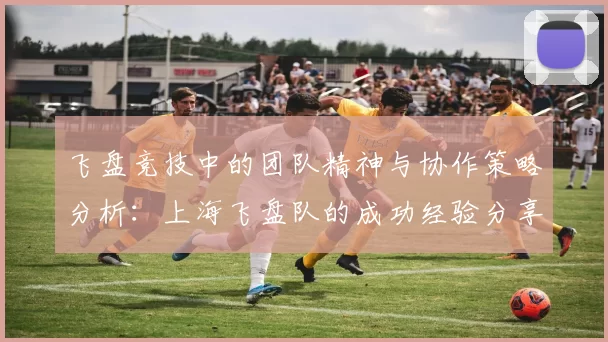 飞盘竞技中的团队精神与协作策略分析：上海飞盘队的成功经验分享